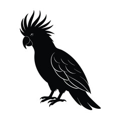 Cockatoo Silhouette Vector Art | Black and White Cockatoo Bird Illustration