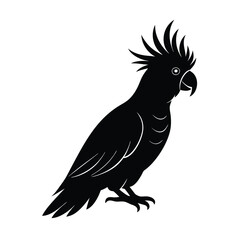 Fototapeta premium Cockatoo Silhouette Vector Art | Black and White Cockatoo Bird Illustration