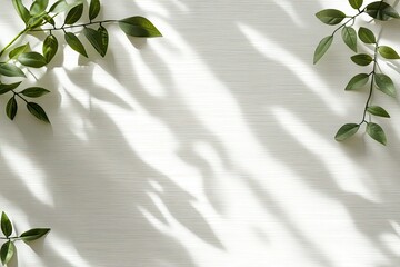 Detailed Image of White Lined Pattern Paper with Leaves Shadow on a Wall
