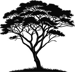 Silhouette of a Majestic Tree with Dense Foliage