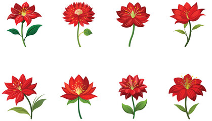 set of red gerber flowers