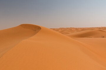 View of the Arabian Desert near Buraydah city. Saudi Arabia. Asia.