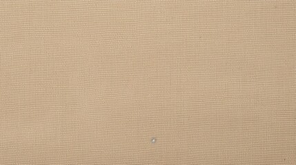 Flawless light beige canvas, fine texture
