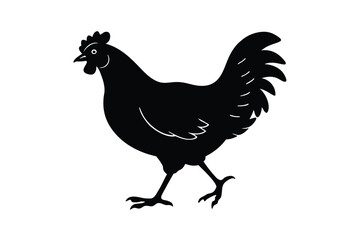 Fototapeta premium Silhouette of Chicken vector illustration.