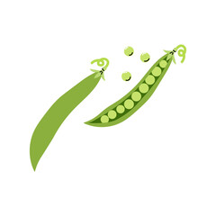 Naklejka premium Fresh green peas in pod and scattered peas on a clean white background