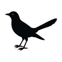 Fototapeta premium Cuckoo Silhouette Vector Art Design, Black And White Cuckoo Bird Vector Illustration