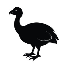Dodo (Extinct) Silhouette Vector Art Design and Black And White Dodo Bird Vector Illustration © JhumaRaniDas