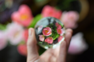 Flower Reflected Inside a Glass Ball Held by Hand, Macro Reflection Photography