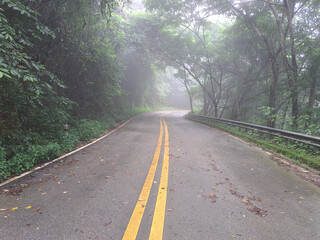 Obraz premium Driving on a wet asphalt road on a rainy day The path cuts through the forest with occasional curves in the rainy season.