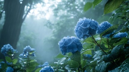 Blue hydrangeas in a misty garden, soft raindrops on the petals, generative ai