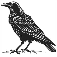 silhouette crow image on white background 