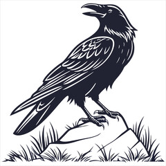 silhouette crow image on white background 