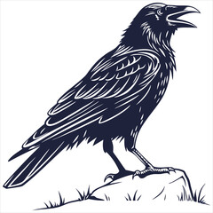 silhouette crow image on white background 