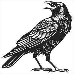 silhouette crow image on white background 
