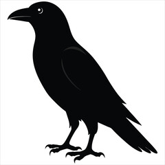 silhouette crow image on white background 