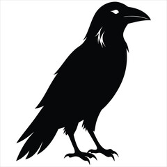silhouette crow image on white background 