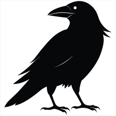 silhouette crow image on white background 