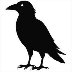 silhouette crow image on white background 