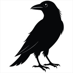 silhouette crow image on white background 