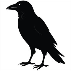 silhouette crow image on white background 