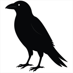 silhouette crow image on white background 