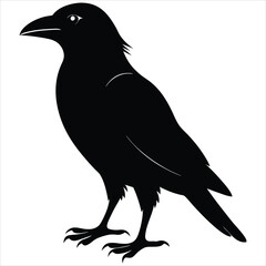 silhouette crow image on white background 