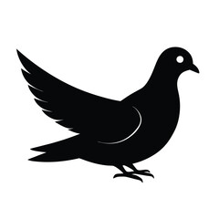 Obraz premium Dove Silhouette Vector Art Design, Black and White Dove Bird Vector Illustration