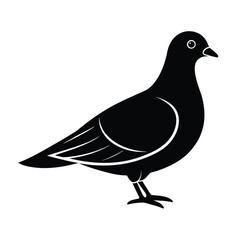 Dove Silhouette Vector Art Design, Black and White Dove Bird Vector Illustration