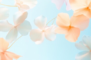 delicate floral pattern featuring array of soft pastel-colored blossoms and swirling tendrils fills frame