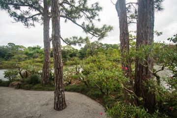 Exploring the gardens at the Morikami Museum and Japanese Gardens in Delray Beach, Florida.	
