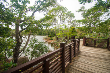 Exploring the gardens at the Morikami Museum and Japanese Gardens in Delray Beach, Florida.	
