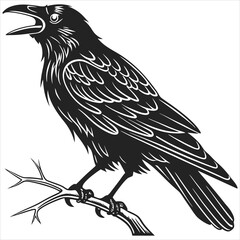 silhouette crow image on white background 