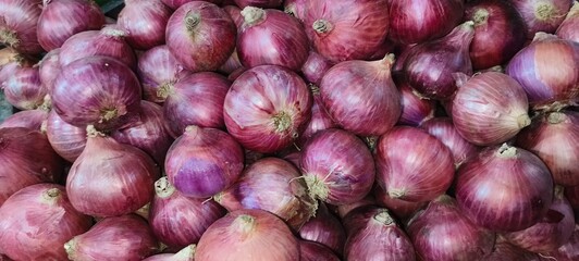 Big onions, also called bulb onions or common onions, are one of the most widely used vegetables around the world.