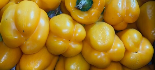 Yellow capsicum, also known as yellow bell pepper, is a vibrant and sweet variety of capsicum. It has a smooth, glossy skin and a firm, crisp texture