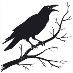 silhouette crow image on white background 