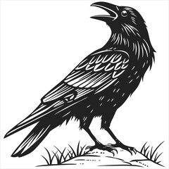 silhouette crow image on white background 
