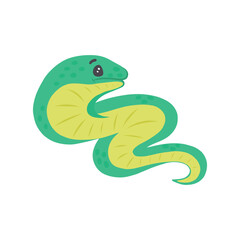 Vector illustration of a green moray eel, fish