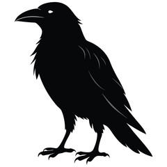 silhouette crow image on white background 