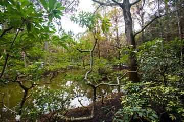 Exploring the gardens at the Morikami Museum and Japanese Gardens in Delray Beach, Florida.	
