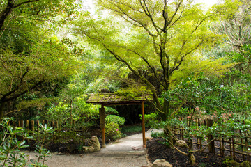 Exploring the Morikami Museum and Japanese Garden near Delray Beach in Florida, USA