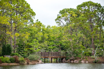 Exploring the gardens at the Morikami Museum and Japanese Gardens in Delray Beach, Florida.	
