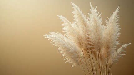 Cattail on a solid background