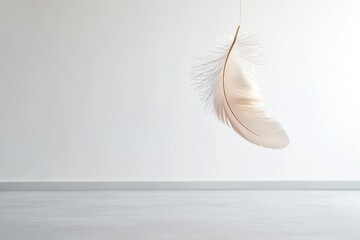Obraz premium single suspended feather against vast white wall with ample copy space