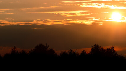 Summer sky sunset over forest. Nature, sky with clouds and trees.