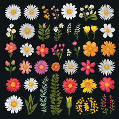 Vibrant floral collection for digital designs.
