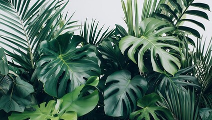 Lush Green Foliage Featuring Diverse Tropical Leaves Ideal for Nature Inspired Decor : Generative AI