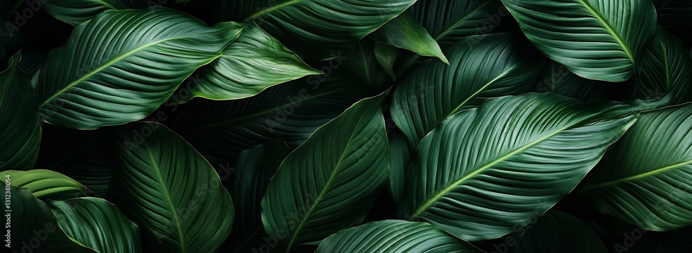 Poster elegant overlapping green leaves forming a beautiful natural background full of life and texture : g