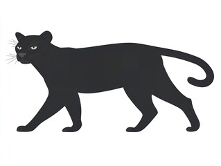 Obraz premium Majestic Black Panther Walking Gracefully on White Background Wild Cat Illustration