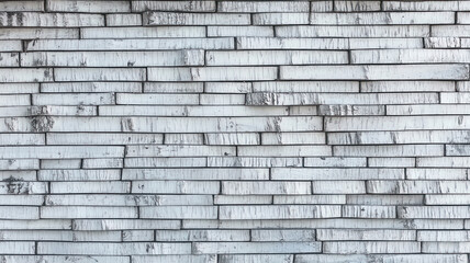 Fototapeta premium Intricate birch tree bark texture exhibiting natural artistry with white and black patterns, ideal for various creative projects