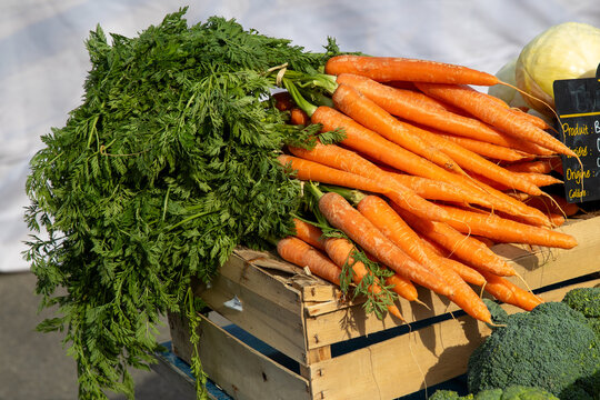 March&eacute; de produits frais. Carottes fanes.